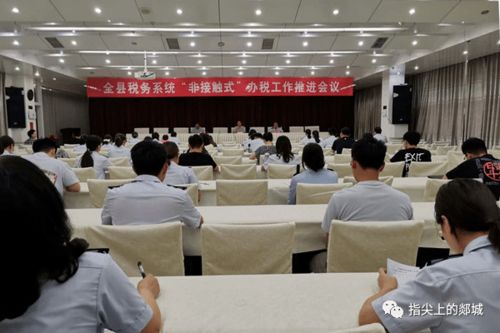 郯城稅務 持續優化營商環境，以專業服務賦能經濟社會發展大局